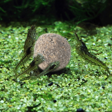 Bola de agua limpia para acuario, acuario, pecera, estanque, 3 uds. ► Foto 1/6