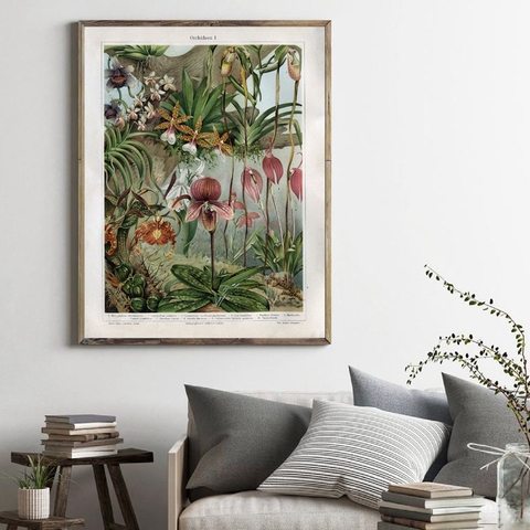 Las orquídeas a finales de 1800 cartel impresiones de la lona Snapdragon antiguo flores Pared de plantas imagen de pintura de arte casa decoración de la habitación ► Foto 1/6