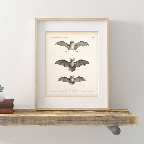 Vintage Bat imprimir Halloween cuadro sobre lienzo para pared antiguo bate cartel Animal imagen pared para sala de decoración del hogar ► Foto 1/6