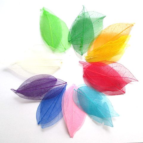 Feuilles de squelette naturelles multicolores en option, pour bricolage, 100 pièces, vente en gros, 014001002 ► Photo 1/6