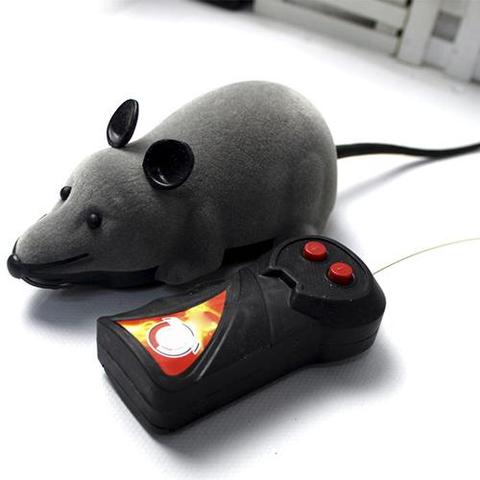 Souris électronique sans fil pour enfants, animaux RC amusants, Rat, chat, chiot, jouet à mâcher, cadeau pour enfants ► Photo 1/6