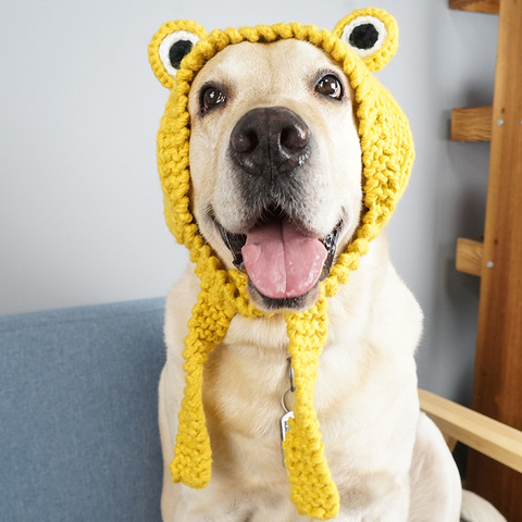 Drôle chien chat grenouille chapeau mignon animal de compagnie chien Costume chaud tricot laine animaux chapeaux vert jaune chiens casquette cadeau d'anniversaire pour les chiens de compagnie ► Photo 1/5