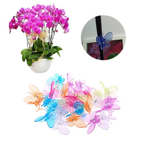 Pinces papillon orchidée, 30 pièces, Support de vigne fleur de jardin, mignon O30 19, livraison directe ► Photo 1/6