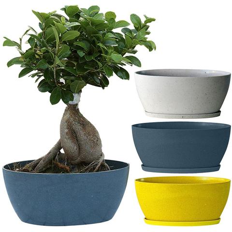 Couleur unie ovale Pot de fleur jardinières en plastique bonsaï plante succulente Pot jardinières plante Pot de fleur conteneur jardinières Pot ► Photo 1/6