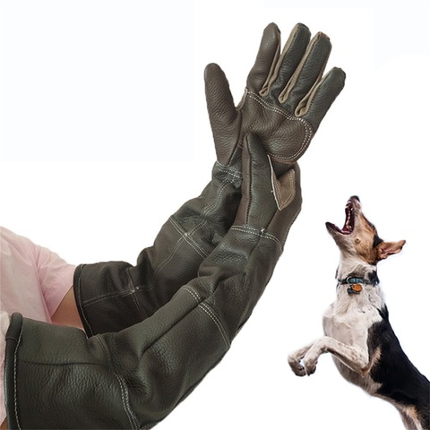 Gants pour animaux de compagnie en cuir de vachette Anti-préhension Anti-morsure gants de protection chat chien jardinage gants de travail animaux de compagnie formation gants de manutention ► Photo 1/6