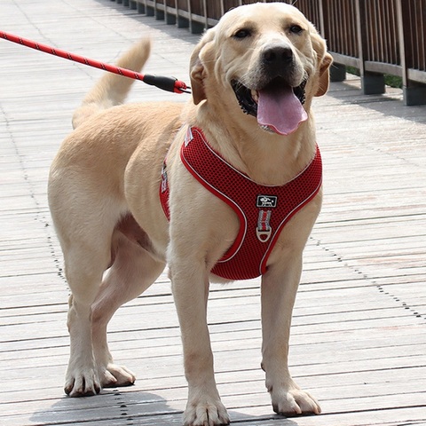 Harnais pour grand chien, gilet en mailles respirantes pour animaux de compagnie, plomb de marche, réfléchissant, avec sangle pour Labrador et Husky ► Photo 1/6