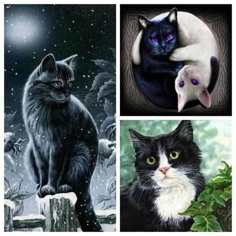 Peinture diamant chats noir et blanc 5D avec animaux, décoration d'intérieur, mosaïque avec strass artisanal, bricolage ► Photo 1/6