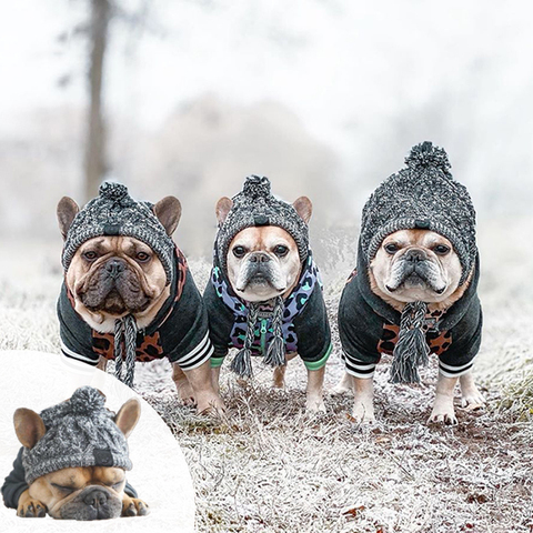Super Pet – chapeaux pour chiens, en tricot, coupe-vent, bouledogue français, Chihuahua, boule moelleuse, accessoires pour animaux de compagnie ► Photo 1/6