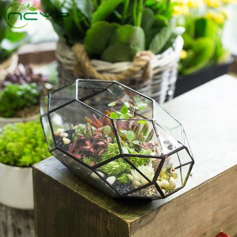 NCYP-Pot de fleurs de Terrarium géométrique moderne, grand récipient polyèdre irrégulier, récipients de Terrarium, plantes, 11 pouces ► Photo 1/6