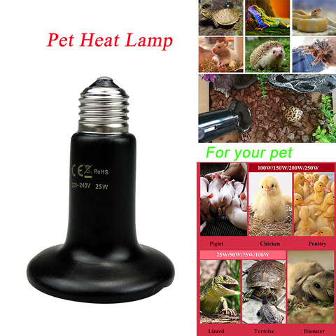 Lampe chauffante à infrarouge lointain pour animaux de compagnie, en céramique, 220V, ampoule pour élever des poulpes et des reptiles, 25/50/75/100W ► Photo 1/6