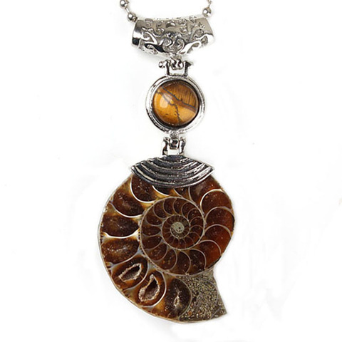 Pendentif en pierre naturelle en forme d'oeil de tigre, 100 pièces, en forme de spirale, d'ammoniac, fossile, Cabochon, coquille de conque, pour collier, bijoux à la mode ► Photo 1/4