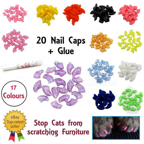 Jolis couvre-ongles en Silicone souple pour chat, 20 pièces, avec colle adhésive, Protection des animaux ► Photo 1/6