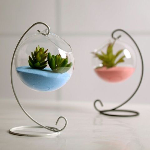 Planteur de fleurs en verre, boule suspendue, Vase de Terrarium, conteneur, bouteille de paysage ► Photo 1/6