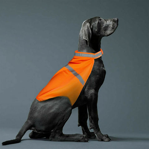 Gilet de sécurité réfléchissant pour chien, vêtement de chasse, haute visibilité, petit et grand gabarit ► Photo 1/6