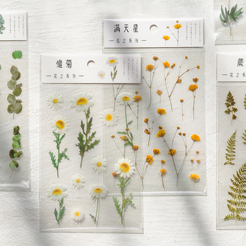 Journamm 12 Designs naturel Daisy trèfle japonais mots autocollants Transparent matériau pour animaux de compagnie fleurs feuilles plantes autocollants déco ► Photo 1/6