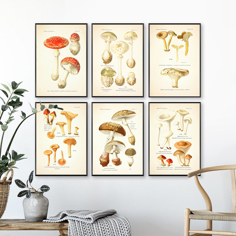 Affiches et imprimés botaniques de champignons Vintage, Atlas de plantes comestibles et toxiques, peinture sur toile, décoration murale pour la maison ► Photo 1/6