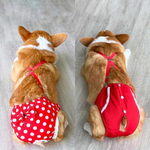 Culotte hygiénique pour chien, sous-vêtement lavable, Corgi, bouledogue français, Terrier, carlin ► Photo 1/6