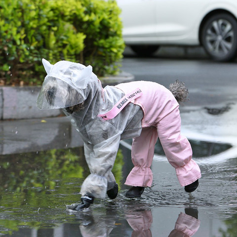 HOOPET chien imperméable vêtements imperméable combinaison de pluie pour petits chiens en plein air vêtements pour animaux de compagnie manteau fournitures pour animaux de compagnie ► Photo 1/6