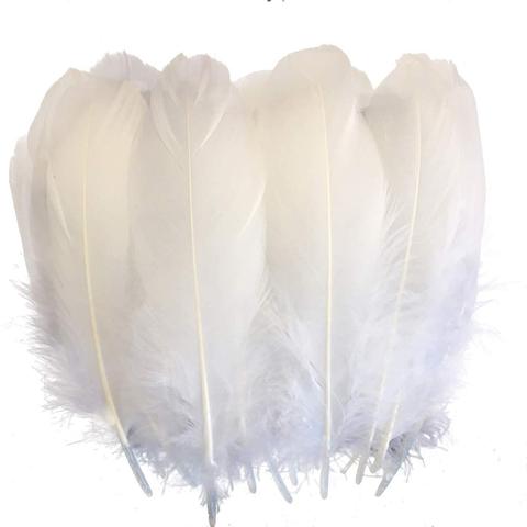 Plumes d'oie de Nagoire blanches, 5-7 