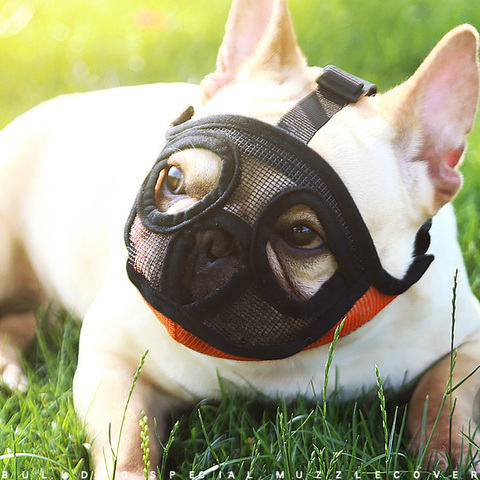 Muselière ajustable et respirante pour chien, masque Anti-aboiement, en maille, adapté au bouledogue français, carlin, XXS-L ► Photo 1/6