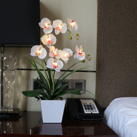 Fleur d'orchidée Phalaenopsis éclairé par batterie, bonsaï, fleur d'orchidée, pour décoration de maison de vacances, pour cadeau d'anniversaire, 9 LED piles ► Photo 1/6