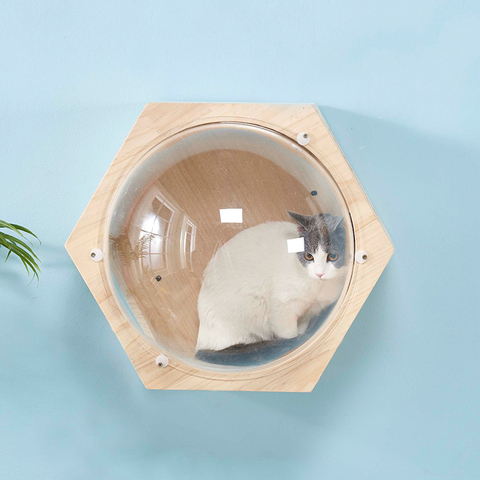 Mur monté chat escalade cadre arbre à chat Hexagonal espace Capsule chat mur jouer maison grotte chaton jouet lit bricolage meubles pour animaux de compagnie ► Photo 1/6