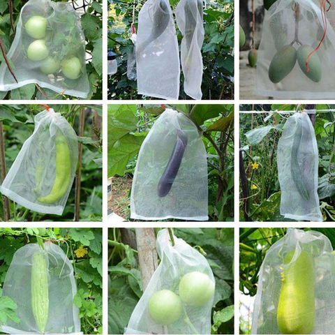 Sac de Protection en maille en Nylon, sac de Protection anti-insectes pour plantes de jardin, légumes et fruits, sacs de lutte antiparasitaire, sacs de croissance anti-oiseaux ► Photo 1/6