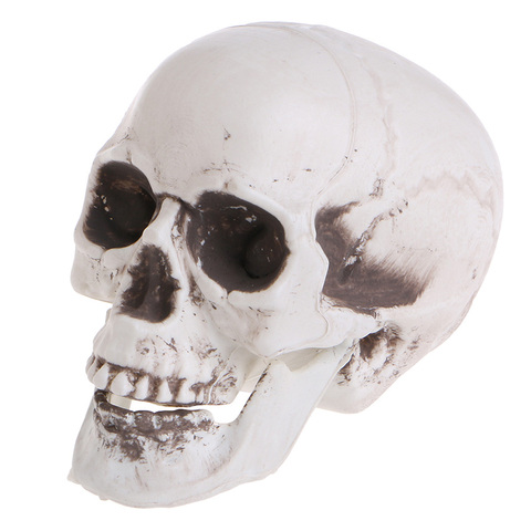 Crâne décor accessoire squelette tête en plastique Halloween jour café barres ornement ► Photo 1/6