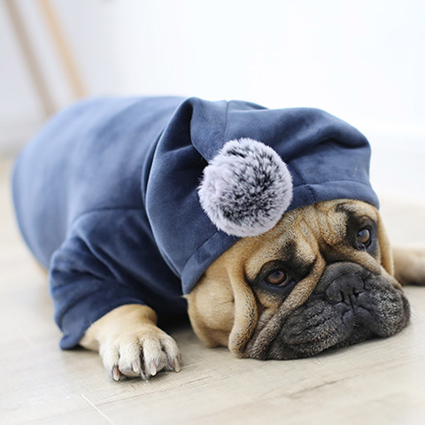 Vêtements d'hiver pour chiens domestiques | Vêtements pour chiens, carlin français, bouledogue pour chiens, manteau, veste pour chien gras, vêtements pour chiot, vêtements pour chiens, sweat à capuche Ropa Perro York ► Photo 1/6