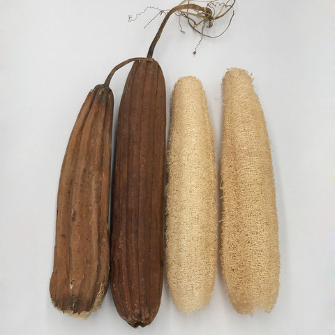 Éponge de bain naturelle Luffa, brosse exfoliante pour le corps, douche, Massage, accessoire de salle de bain, Spa ► Photo 1/6