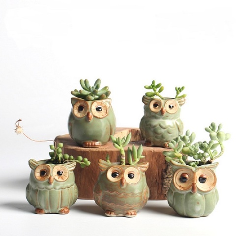 5 pièces/ensemble Pots de fleurs créatifs en forme de hibou, nouvelle jardinière en céramique bureau, joli Design, succulente ► Photo 1/4