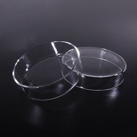 Plat de culture de pétri en verre Borosilicate 90mm pour la levure bactérienne de laboratoire de chimie ► Photo 1/4