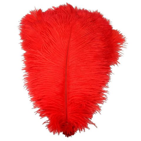 Plumes d'autruche rouge teintes naturelles, 10 pièces/lot, accessoires de carnaval artisanal, décoration en plumes d'autruche ► Photo 1/6