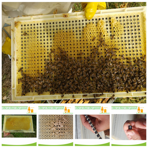 Un système complet d'élevage de reine de CQR-3C pour l'élevage de reine et la production de gelée royale, nouvel outil d'apiculture de conception ► Photo 1/6