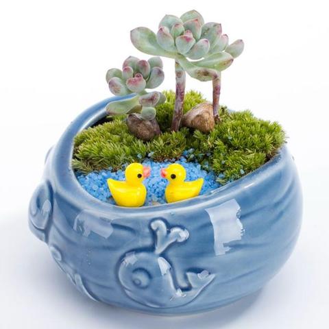 Vase à fleurs porcelaine poisson bleu européen | Joli Pot de fleurs Mini bonsaï Cactus, Pot de fleurs Succulents pour Planter décor de jardin maison ► Photo 1/6