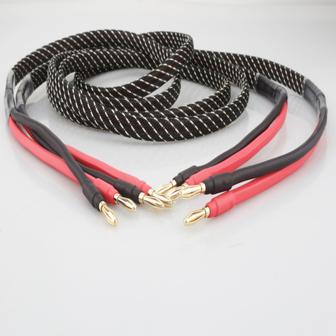 Paire de haute qualité câble haut-parleur en cuivre pur prise banane HIFI à fiche banane câble haut-parleur câble haut-parleur central ► Photo 1/6