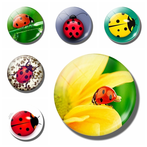 Autocollant mignon insecte pour réfrigérateur, cabochon en verre, aimant à coccinelle, aimant de réfrigérateur, panneau de message, décoration pour la maison ► Photo 1/4