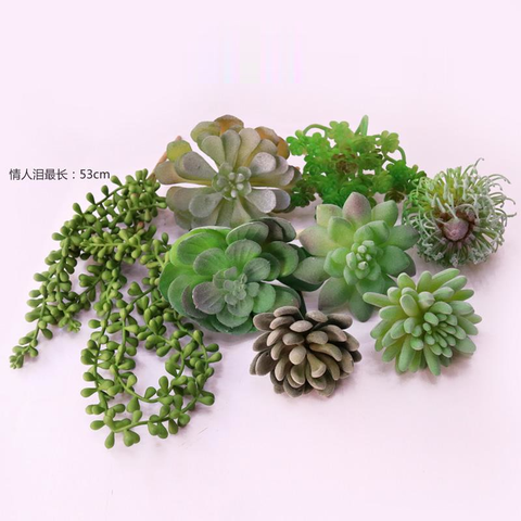 Plantes succulentes artificielles, Mini bonsaï pour décoration de maison, jardin, chambre à coucher, salon, bureau, accessoires ► Photo 1/6