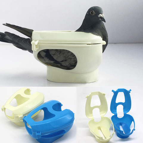 Support de Pigeon de course en plastique, support de cadre fixe pour oiseaux, mangeoire à médicaments ► Photo 1/6