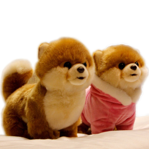 Jouet en peluche réaliste animaux domestiques, qualité supérieure, Mini chien maltais poméranien Shiba Inu, poupée pour enfants, décoration cadeau ► Photo 1/6