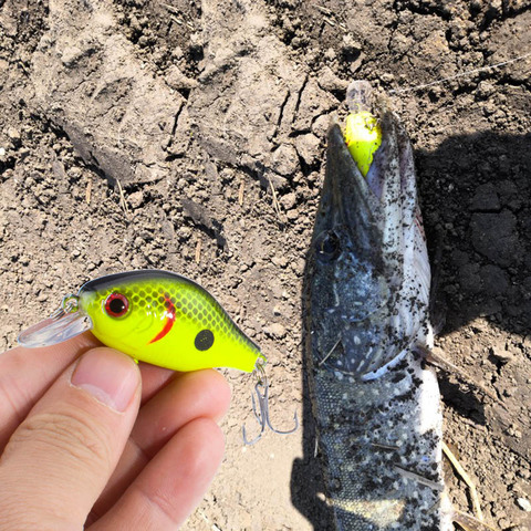 Leurre rigide rigide pour la pêche, appât artificiel de type poisson nageur, wobbler, modèle japonais, mousqueton, 5.5cm, 9g, 1 unité, livraison gratuite ► Photo 1/6