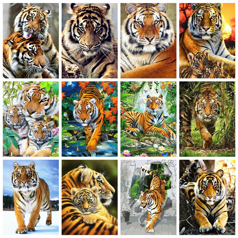 HUACAN peinture à l'huile par numéros tigre Animal dessin sur toile peint à la main Art cadeau bricolage photo par numéro Kits décoration de la maison ► Photo 1/6