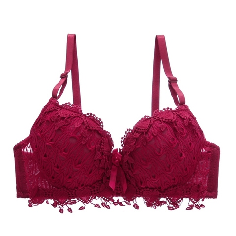 Femmes sexy pousser soutien-gorge en dentelle marque broderie gland Lingerie brassière ► Photo 1/6