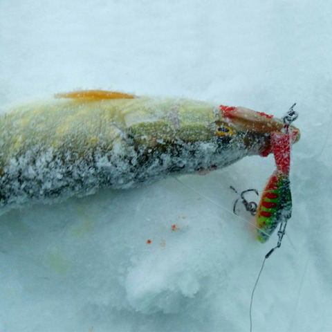 Lot de 4 leurres de pêche d'hiver en russie, faux appât artificiel, équilibreur pour la pêche à la carpe, au doré, au brochet, à la perche, 7.6cm, 28.5g ► Photo 1/6