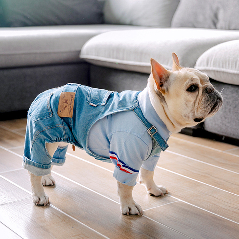 Vêtements pour bouledogue français, pour chiens, en Denim, combinaison pour chiens, vêtements d'hiver pour animaux de compagnie ► Photo 1/6