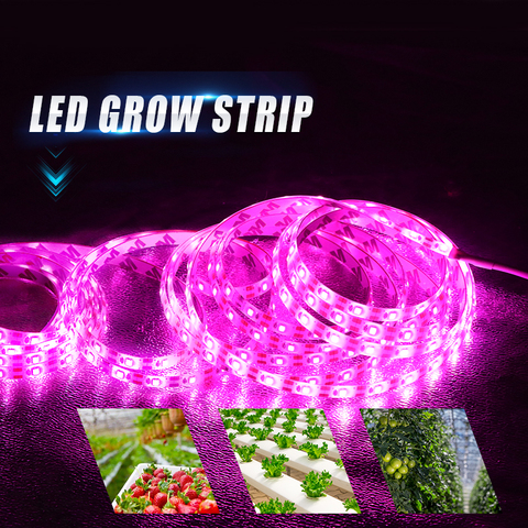 Bande lumineuse horticole de croissance LED, 2835/LED, USB, 5V, 0.5M 1, spectre complet, éclairage pour serre hydroponique, plantes, serre ► Photo 1/6