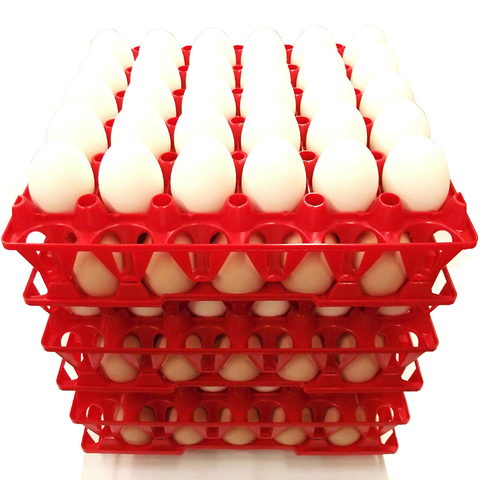 Plateau à œufs en plastique de 30 trous | Capacité, plateau à œufs Ransport, caisse de renouvellement, conteneurs en plastique pour couches, équipement d'animaux de ferme ► Photo 1/6