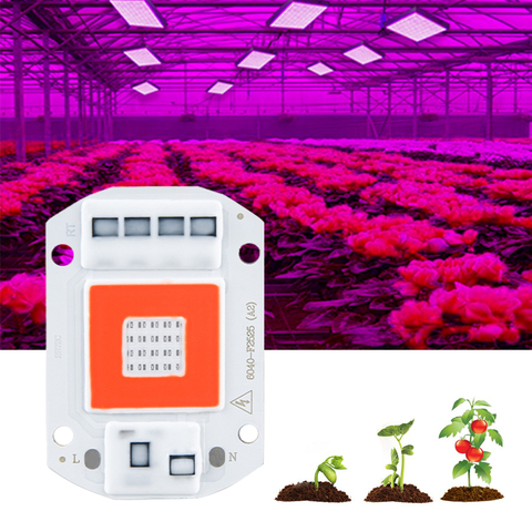 Puce COB pour culture hydroponique de plantes d'intérieur, lampe pour culture de plantes, spectre complet, 220V, 110V, 20W, 30W, 50W, rouge et bleu ► Photo 1/6