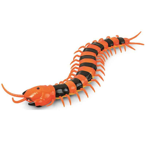 Nouveau infrarouge RC télécommande Simulation Centipede creepy-crawly enfants jouet cadeau Orange et noir ► Photo 1/6