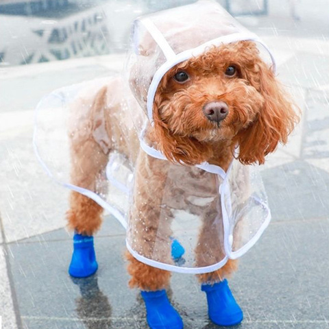 5 couleurs solide chien de compagnie manteau de pluie pour petits chiens imperméable perro chiot chat Poncho chien imperméable caniche vêtements chubasquero perro ► Photo 1/6